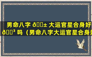 男命八字 🐱 大运官星合身好 🐳 吗（男命八字大运官星合身好吗婚姻如何）